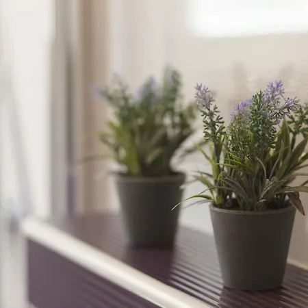 ゲストハウス Milan 3*